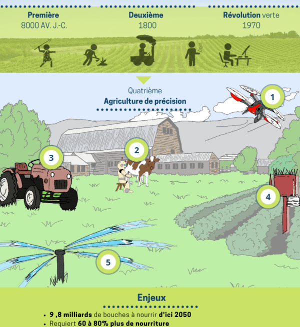 Infographie évolution de l'agriculture